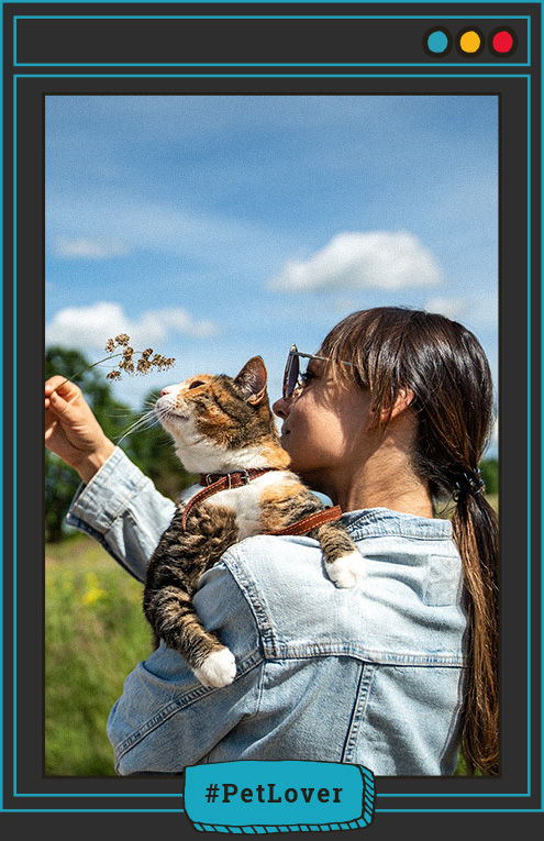Es recomendable sacar a pasear a un gato